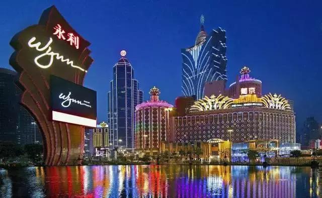 2025新澳门四不像的读,澳门新风貌，探索四不像的独特魅力与未来展望（2025年）