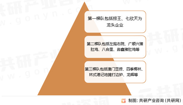 王中王资料大全枓大全,王中王资料大全，深度解析与概览