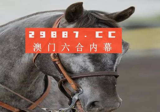 澳门一肖一码一一子,澳门一肖一码一一子，探索与揭秘