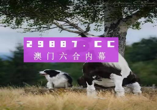 2025澳门资料免费大全,权威资料,澳门资料权威大全 2025版 免费分享