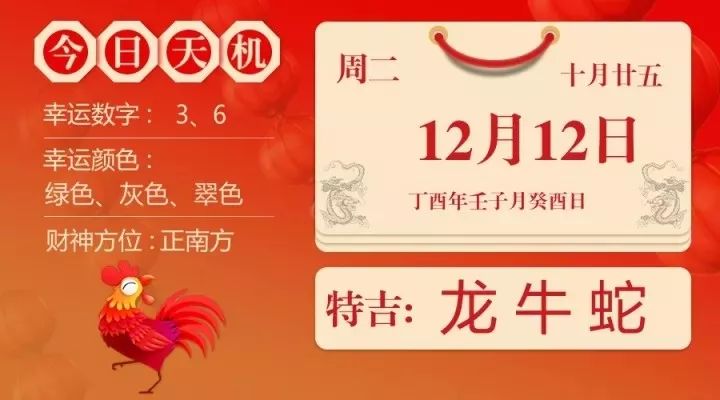 最准的一肖一码100%,揭秘最准的一肖一码，探寻命运的神秘密码（100%精准预测）