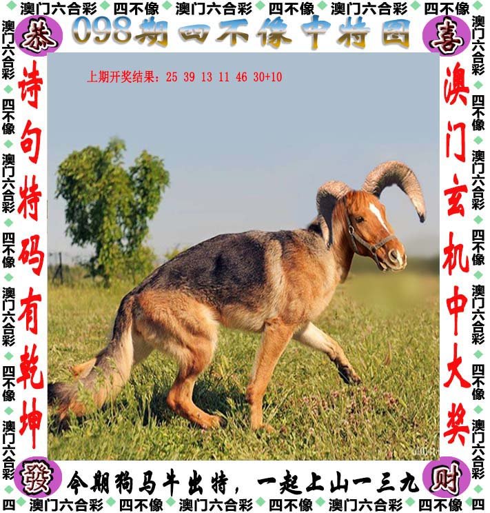 今期四不像彩图片,今期四不像彩图片，探索神秘的艺术世界