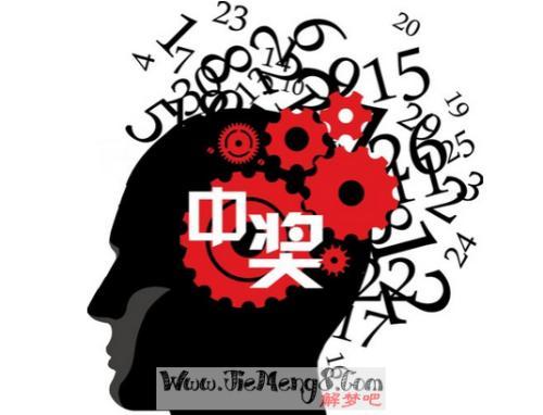 二四六天天彩资料大全直播,二四六天天彩资料大全直播，探索数字彩票的新世界