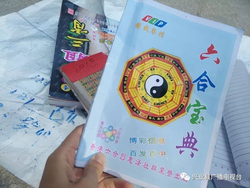 下载澳门六6合宝典,澳门六6合宝典，探索与警示