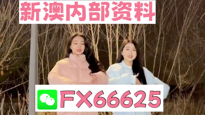 管家婆最准一码一肖9387期,管家婆最准一码一肖，揭秘彩票预测背后的秘密与故事（第9387期深度解析）