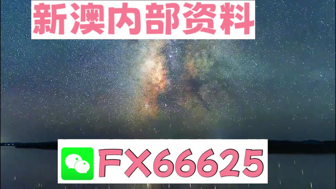新澳天天彩免费资料大全特色,新澳天天彩免费资料大全的特色，探索与体验