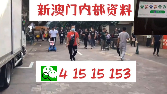 澳门管家婆资料一码一特一,澳门管家婆资料一码一特一，深度解析与实用指南
