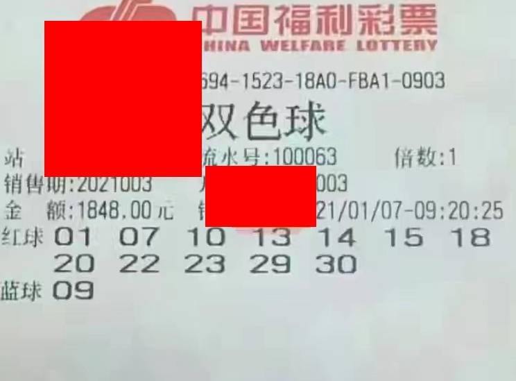 2025澳门特马今晚开奖165,澳门特马今晚开奖，探索彩票背后的故事与未来展望（附详细分析）