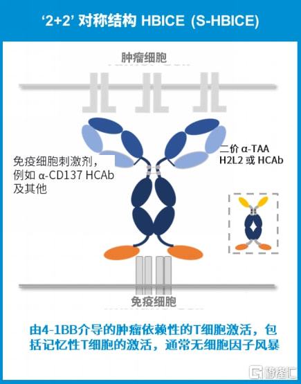 2025新澳六今晚资料,探索未来，聚焦新澳六今晚资料与未来趋势预测（2025展望）
