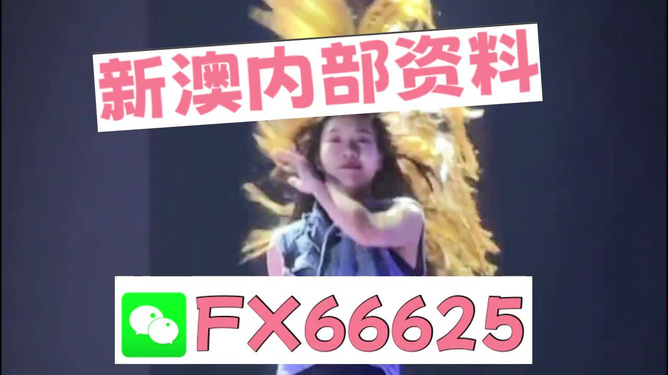 新澳门内部一码最精准公开,新澳门内部一码最精准公开，探索真相与理解