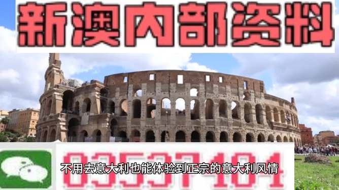澳门天天免费精准大全,澳门天天免费精准大全——探索澳门的文化与魅力