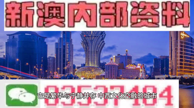 新噢门全年免费资新奥精准资料,新澳门全年免费资料新奥精准资料探索与解析