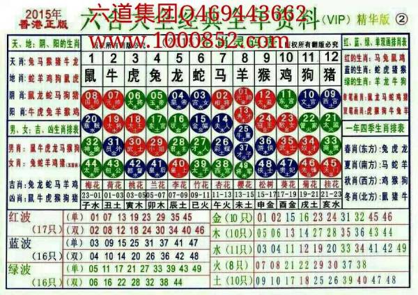 2025十二生肖49码表,揭秘2025年十二生肖与49码表的不解之缘