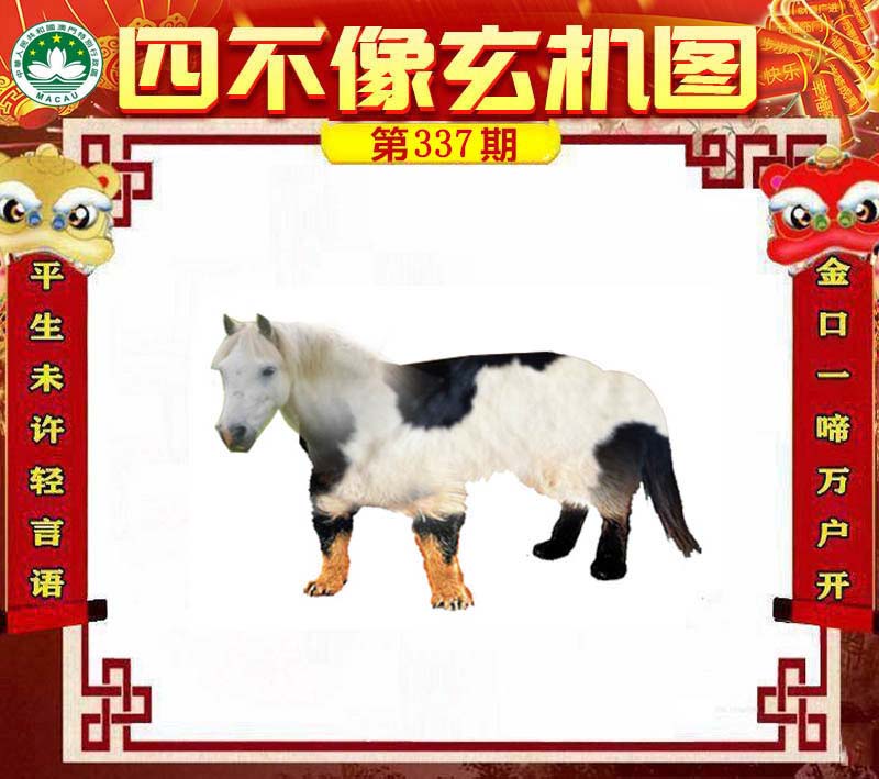 香港管家婆正版四不像图生肖下载,香港管家婆正版四不像图生肖下载，探索与解析